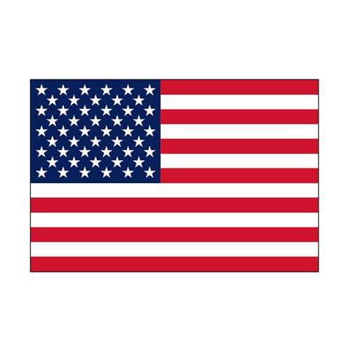 Hollex Amerikanische Flagge 20x30cm