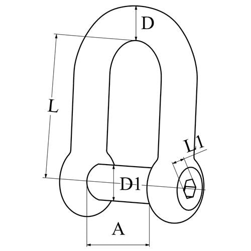 Hollex D-sluiting gesmeed met binnenzeskantbout 6mm rvs316