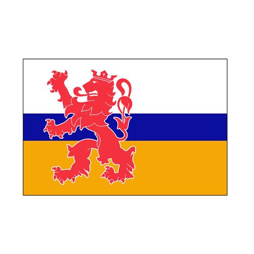 Hollex Provincievlag Limburg 20x30cm